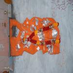 Vraj-Yatra-2014- (1727)